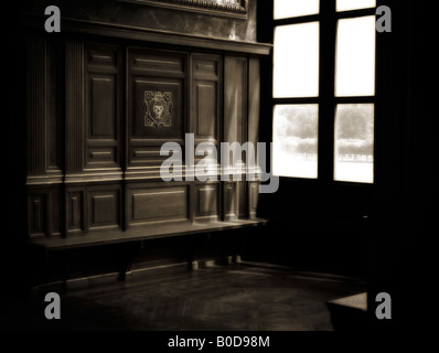 Salle de bal (salle de danse). Château de Fontainebleau (Fontainebleau). Département de Seine et Marne. La France. Banque D'Images