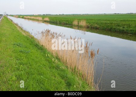 Ramsey Forty foot, Forty foot Drain. Le Fens Cambridgeshire 2008 2000s UK. HOMER SYKES Banque D'Images