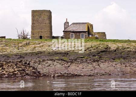 Pele Tower (construit en 1500) et la construction sur les îles Farne, Farne, Northumberland, England, UK Banque D'Images