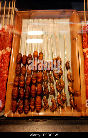 Cigales frites à un marché de nuit de Wangfujing Beijing Chine Banque D'Images