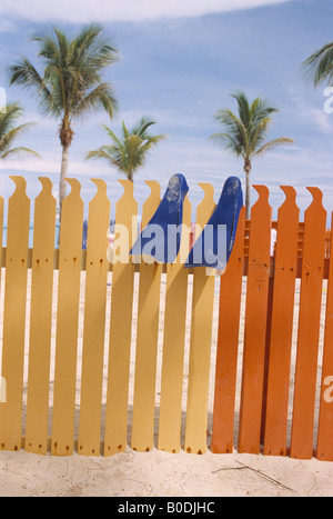 Une paire de palmes de plongée bleu sur jaune et orange barrière en bois avec du sable des cocotiers sur la plage Banque D'Images