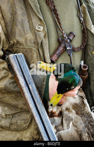 Close-up of Duck Hunter Holding Shotgun et paire de Canards colverts Banque D'Images