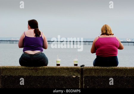 Deux grosses femmes femmes en surpoids s'ASSEOIR SUR LA DIGUE À SOUTHEND ON SEA ESSEX Banque D'Images