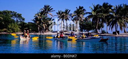 Kayak de mer dans le groupe Barrière de corail du Belize, Belize Banque D'Images