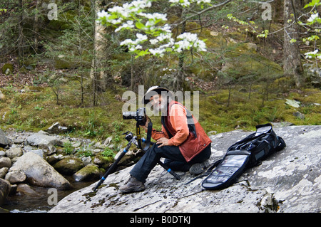 Photographe de plein air perché sur le rocher sur la broche du milieu de la rivière Little Great Smoky Mountains National Park Utah Banque D'Images