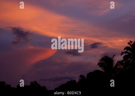 Coucher du soleil à Sukau Kinabatangan river,Sabah, Bornéo, Banque D'Images