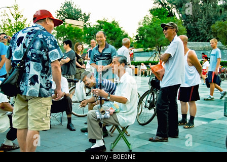 Pékin CHINE, activités de personnes âgées de foule, rassemblement d'hommes chinois pour jouer la «musique chinoise» traditionnelle dans le vieux quartier des groupes de personnes dans le parc Banque D'Images