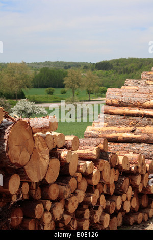 Des piles de 38mm in Rural Landscape Banque D'Images