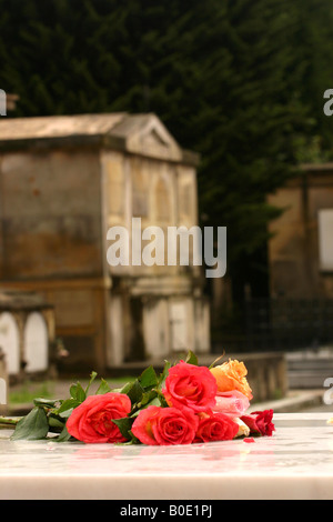 Bogota cimetière central, roses sur une pierre tombale en marbre Banque D'Images