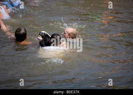 La noyade de chevaux Appleby Fair 2007 6 Banque D'Images