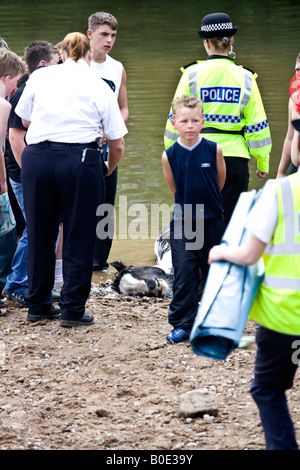 La noyade de chevaux Appleby Fair 2007 15 Banque D'Images