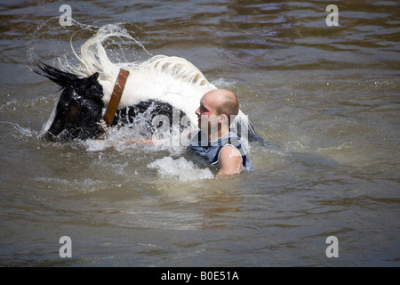 La noyade de chevaux Appleby Fair 2007 1 Banque D'Images