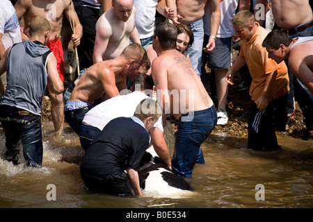 La noyade de chevaux Appleby Fair 2007 10 Banque D'Images