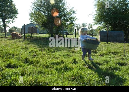 Stock photo d'une fillette de deux ans portant un bol en métal plein d'aliments pour animaux Banque D'Images