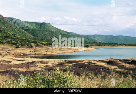 Nord du lac Bogoria la Grande Vallée du Rift au Kenya Afrique de l'Est Banque D'Images