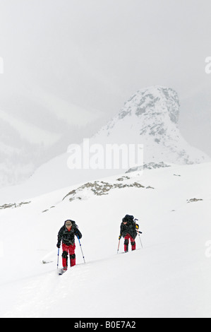 Ski nordique de l'écorcher les sept étapes du Paradis, glacier Asulkan, Selkirk, British Columbia Canada Banque D'Images