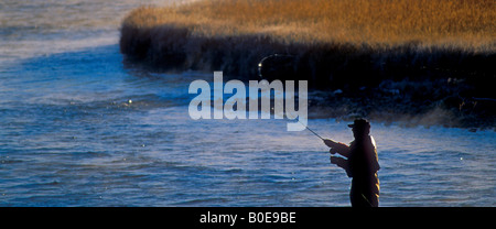 La pêche à la mouche dans la rivière Madison, le Parc National de Yellowstone, WY Banque D'Images