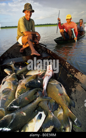 Les pêcheurs au harpon à partir d'une communauté de pêcheurs en pirogue dans la forêt inondée (varzea) forêt amazonienne Banque D'Images