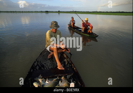 Les pêcheurs au harpon à partir d'une communauté de pêcheurs en pirogue dans la forêt inondée (varzea) forêt amazonienne Banque D'Images