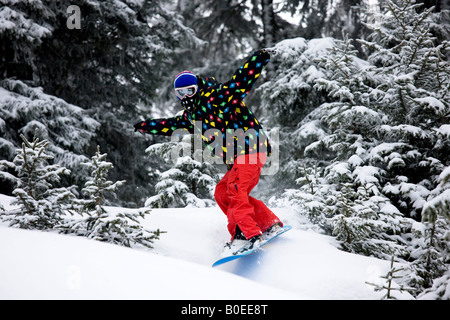 Snowboarder riding les arbres à St Foy de Tarrentaise. Banque D'Images