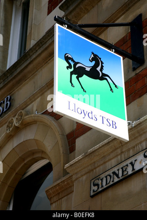 Inscrivez-vous sur la branche de Lloyds TSB Bank Banque D'Images