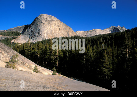 Fairview Dome Cathedral Peak et prairies Tuolumne Salon National de Yosemite en Californie Banque D'Images