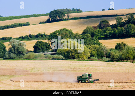 Moissonneuse-batteuse dans un champ de blé Herefordshire Angleterre Royaume-Uni Banque D'Images