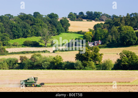 Moissonneuse-batteuse dans un champ de blé Herefordshire Angleterre Royaume-Uni Banque D'Images