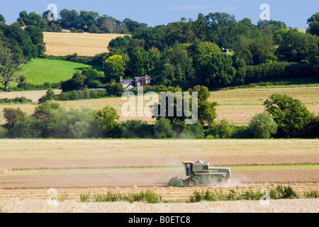 Moissonneuse-batteuse dans un champ de blé Herefordshire Angleterre Royaume-Uni Banque D'Images