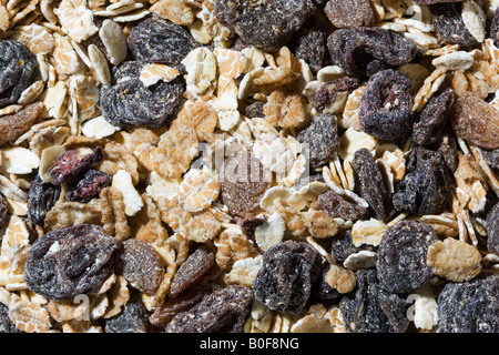 Les fruits et l'écrou du muesli Banque D'Images