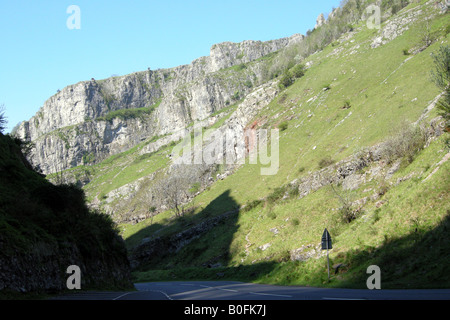 Les falaises calcaires des gorges de Cheddar Angleterre Somerset Banque D'Images