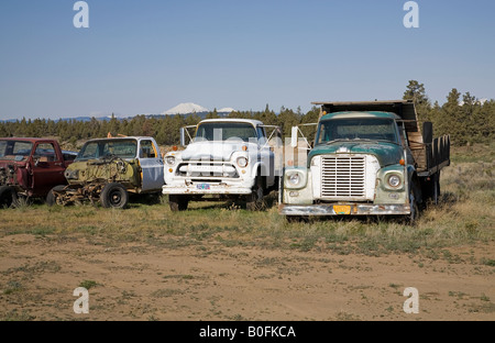 USA OREGON BEND une sélection de vieille Ford Chevrolet et Ford camions et camionnettes dans un champ Banque D'Images