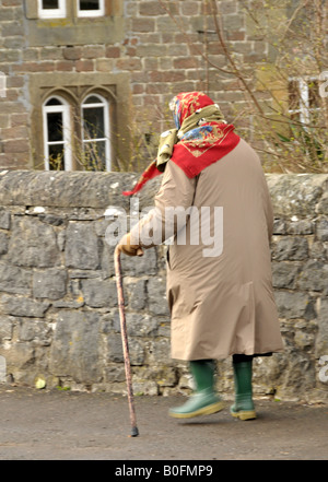 Vieille Dame marche avec bâton en bois portant des bottes wellington vert et rouge foulard dans le Derbyshire Peak District Banque D'Images