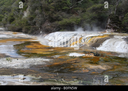 En Terrasse et contreforts, la Vallée volcanique de Waimangu, Rotorua, Nouvelle-Zélande. Banque D'Images