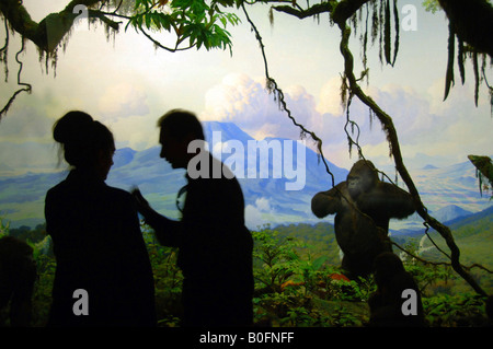 La vieille histoire capturé au Musée d'histoire naturelle des dioramas à New York Banque D'Images