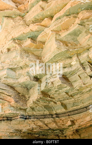 Sur le mur de pierre en stries, Grand Canyon, États-Unis Banque D'Images