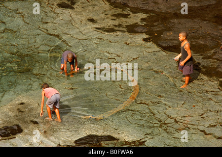 Les enfants à la pêche dans l'eau jusqu'aux genoux en Ponta do Sol sur l'île de Santo Antao Afrique Cap-vert Banque D'Images