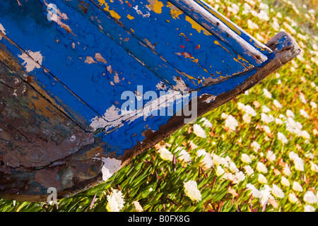 Vieux bateau fleurs,Portugal,Europe Banque D'Images