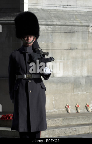 Soldat de garde au cénotaphe, jour de l'Armistice, Whitehall, Londres Banque D'Images