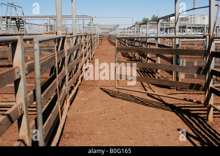 Les ventes de bovins roms gate open Banque D'Images