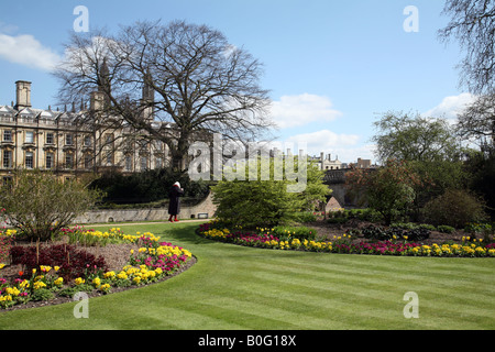 Clare College, Cambridge vu depuis le jardin Fellows sur un matin de printemps Banque D'Images