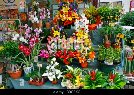 La Rambla de las Flores Barcelona La Catalogne Espagne Banque D'Images