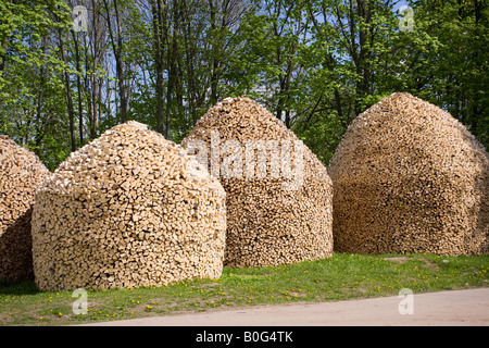 Bois de chauffage coupé pile. L'énorme tas de bois combinés sous forme d'une pile. Banque D'Images