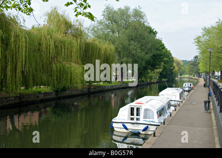 Des petits bateaux amarrés sur la rivière Wensum, Norwich, Norfolk Banque D'Images