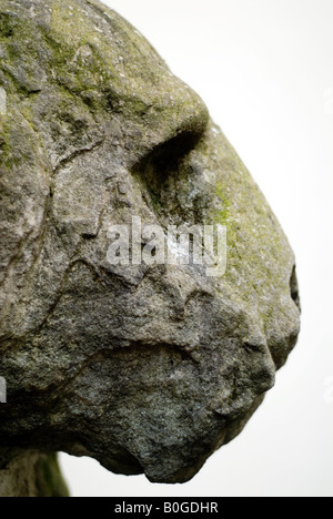 Close up of statue de lion en pierre patiné, Florence, Italie Banque D'Images