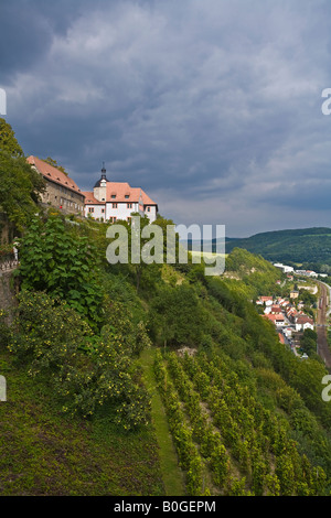 Vignobles de Dornburg/Dorndorf, Allemagne. Unstrut-Saale, une des régions vinicoles les plus du nord dans l'Europe. Banque D'Images