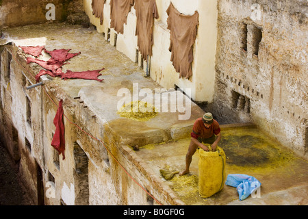 Les énormes cuves de pierre XI siècle avec des agents de tannage et de colorants sont situés dans une cour fermée, en plein air. Banque D'Images