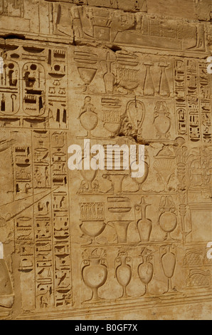 Détail des sculptures dans le mur au Temple de Louxor, Egypte. Banque D'Images