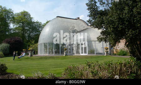 Palm House Jardins Botaniques de Bicton à Devon Banque D'Images