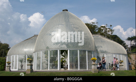 Palm House Jardins Botaniques de Bicton à Devon Banque D'Images